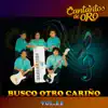 Cantaritos De Oro - Busco Otro Cariño, Vol. 11